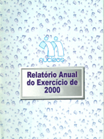 Relatório Anual 2000