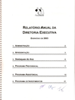 Relatório Anual 2003